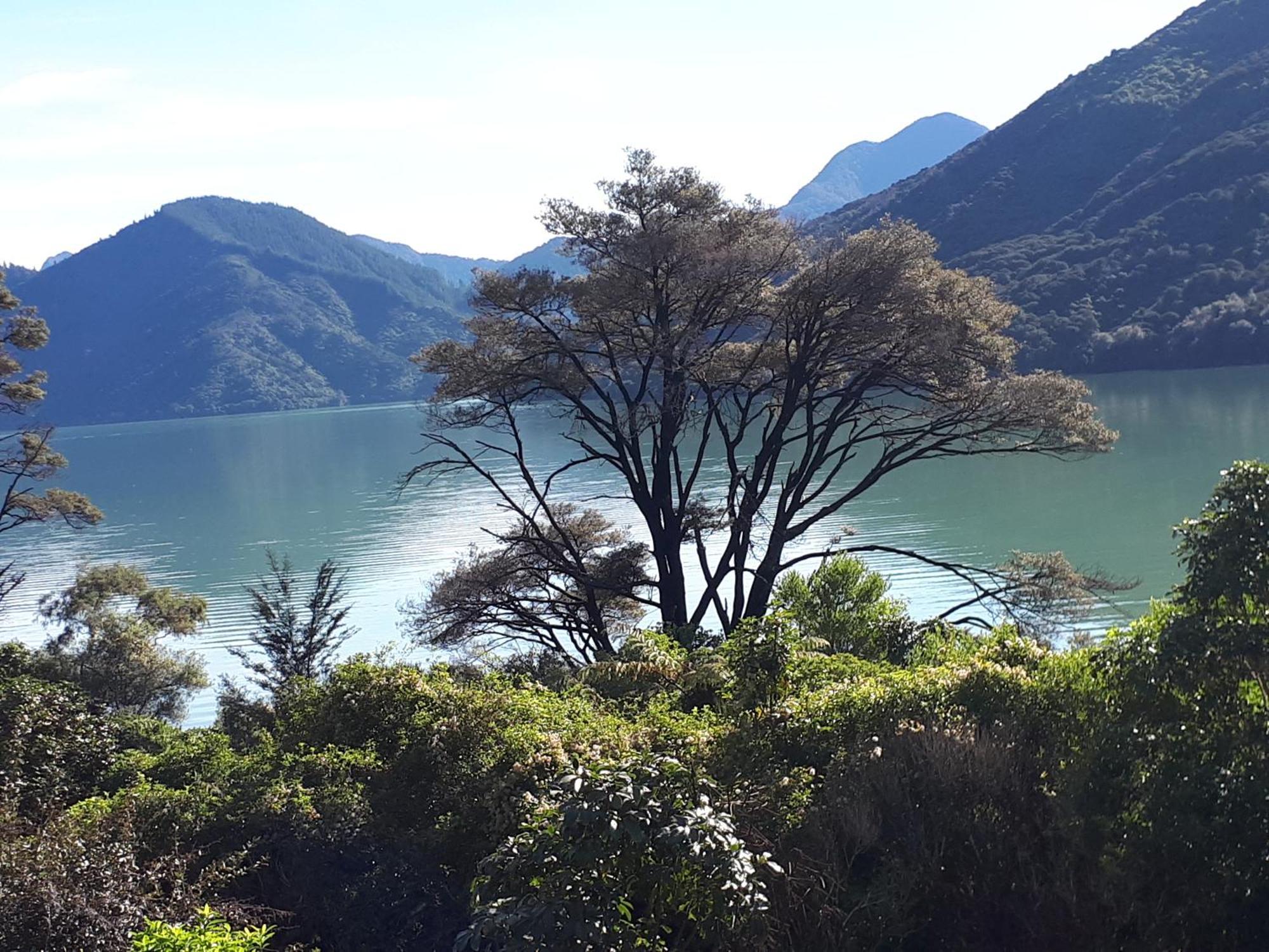 Marlborough Sounds Accommodation Havelock Εξωτερικό φωτογραφία