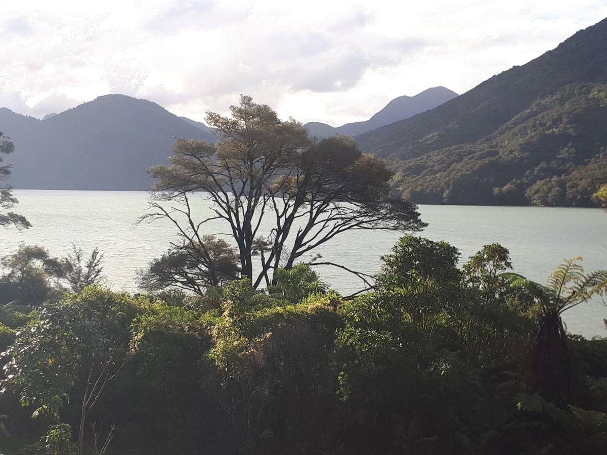 Marlborough Sounds Accommodation Havelock Εξωτερικό φωτογραφία